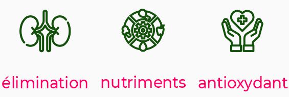 Derma+ - Complément alimentaire naturel